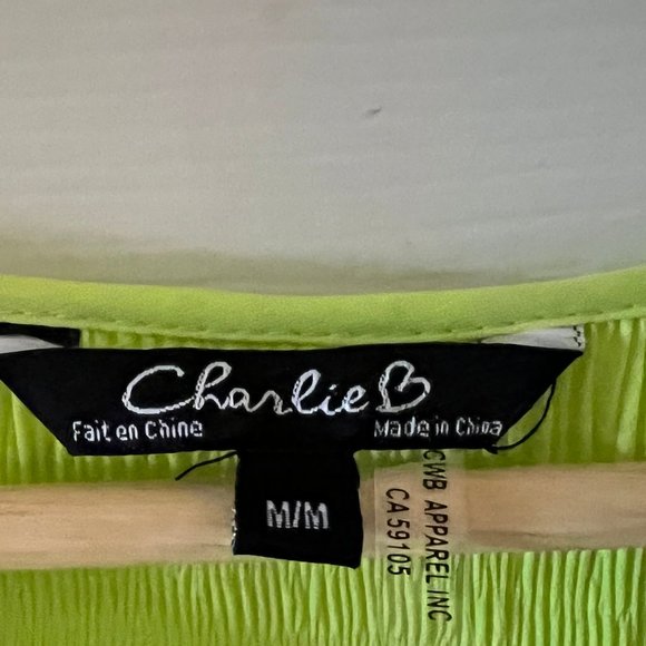 Smocked Lime Green Boho Blouse NWOT - Picture 11 of 14